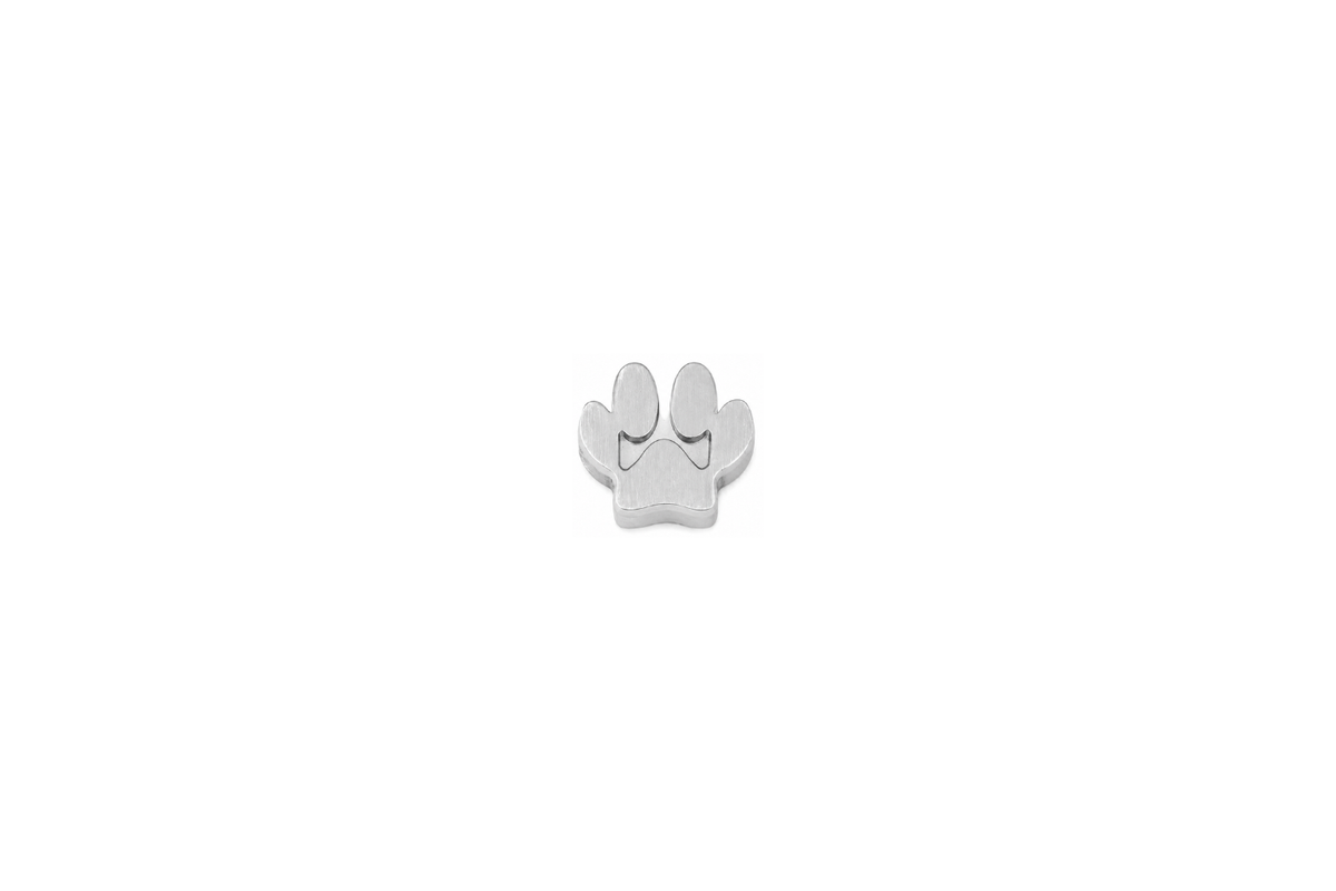 Paw Charm Silver