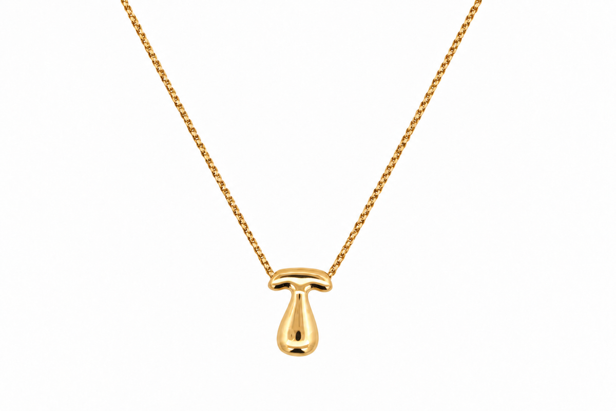 Sola Gold Initial Letter Necklace - T