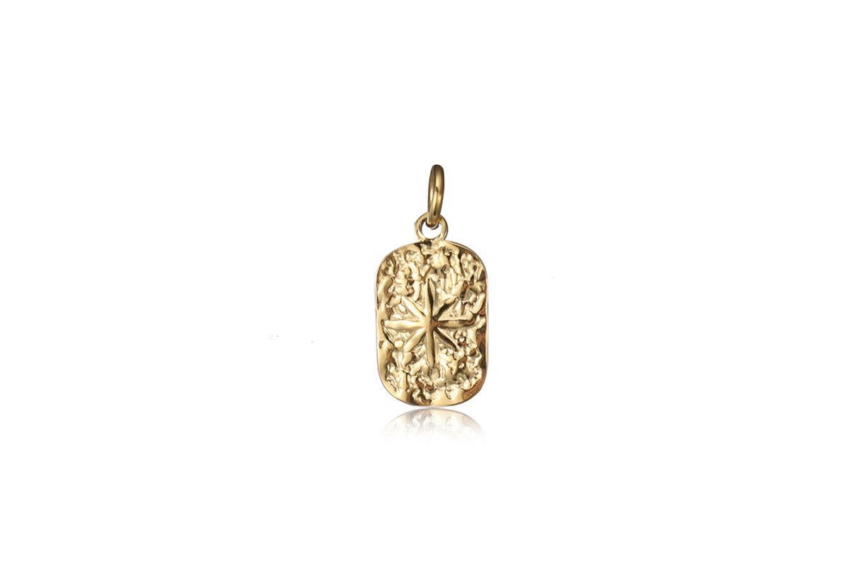Roxana Star Plate Waterproof Gold Charm