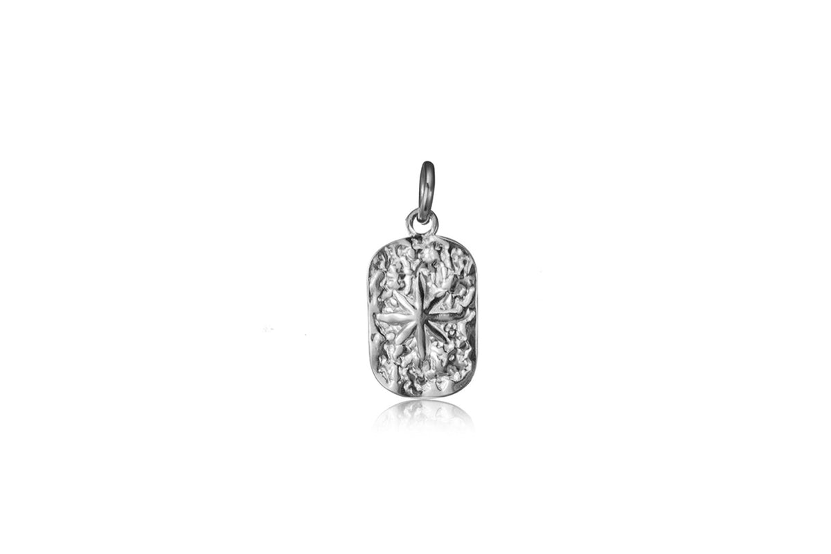 Roxana Star Plate Waterproof Silver Charm